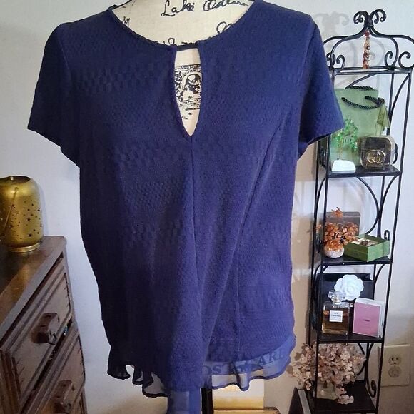 Anthropologie Deletta Textured Blue Short Sleeve Blouse Sheer Ruffle Trim Large - Picture 1 of 11